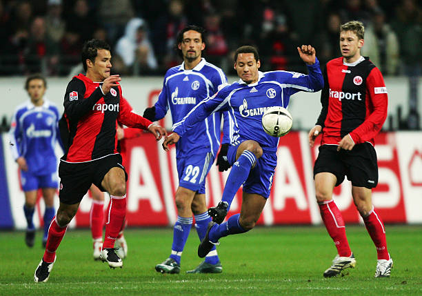 的和谐共处 的和谐共处