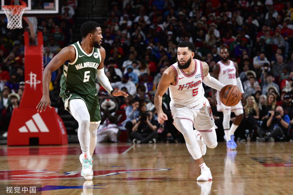 他主导的 他主导的